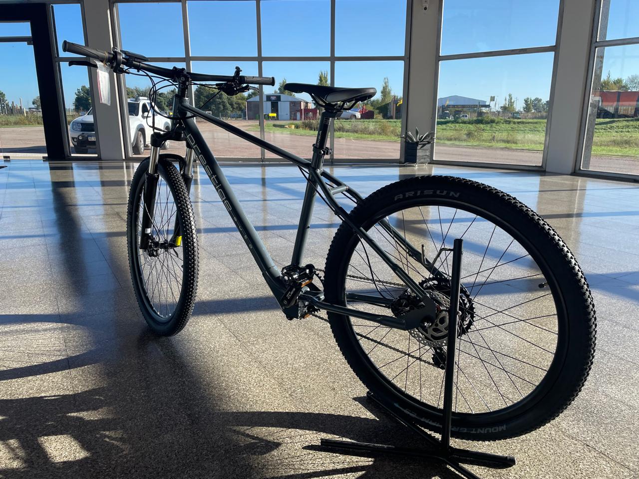E-Bike MTB R29 Prestige Auto - vista 1