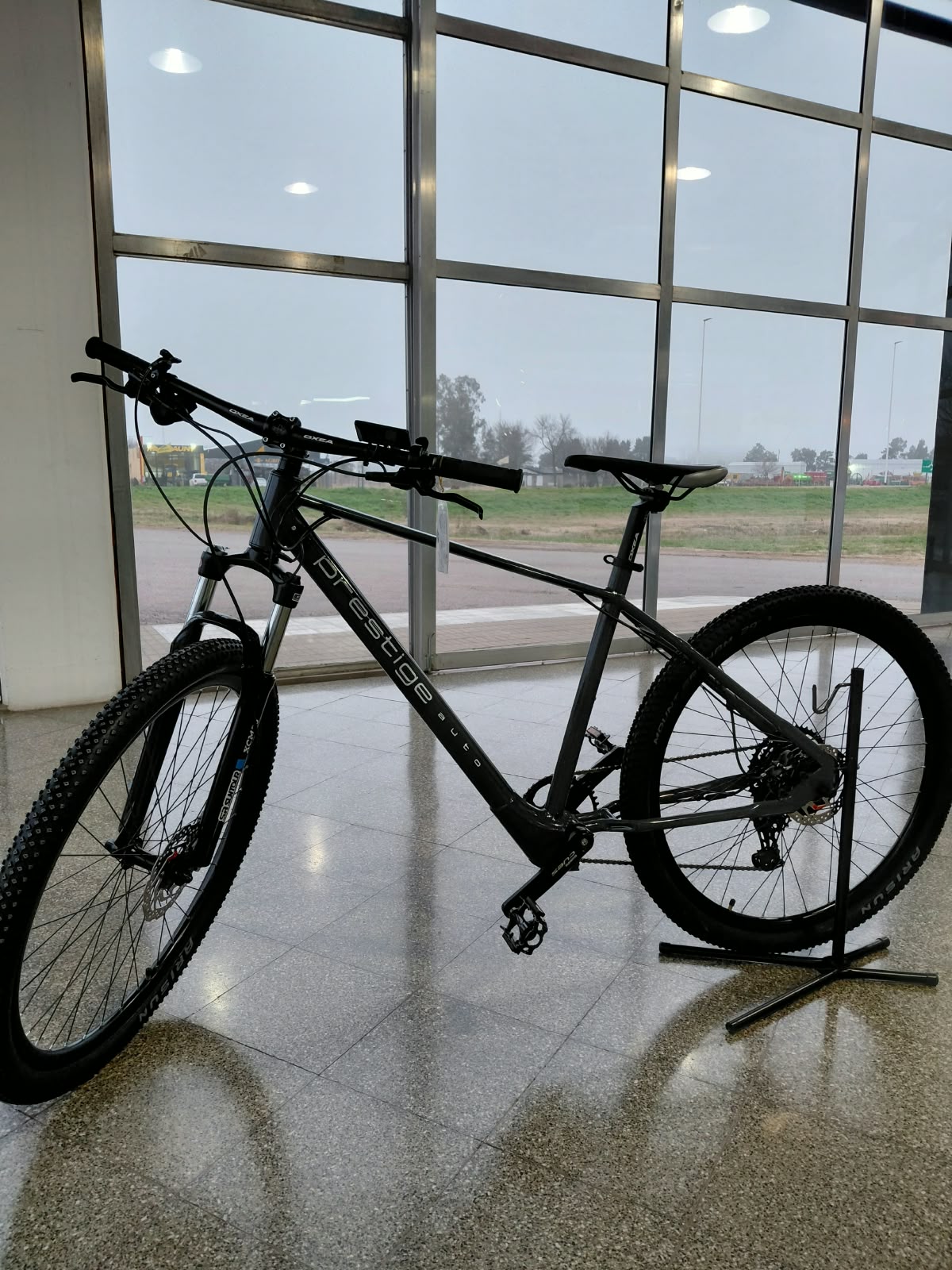 E-Bike MTB R29 Prestige Auto - vista 2